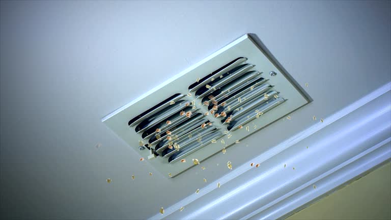 Reliable Round Lake Park, IL Airduct Cleaning Solutions