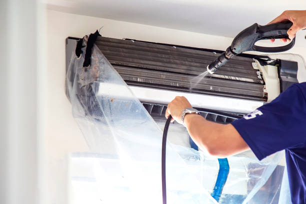 Air Duct Mold Removal in Round Lake Park, IL